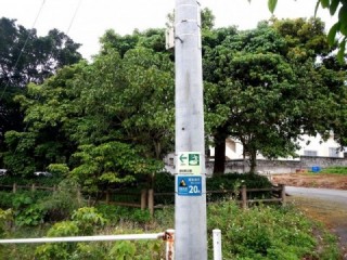 H26myako-img03